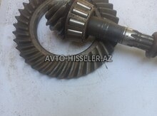 Moskvich körpü (most) dişləri